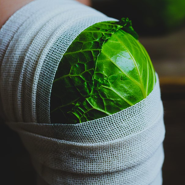 ใบกะหล่ำปลีบนหัวเข่า